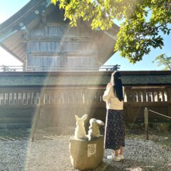 満月ヒーリングは神在祭の出雲大社よりお届けしました！